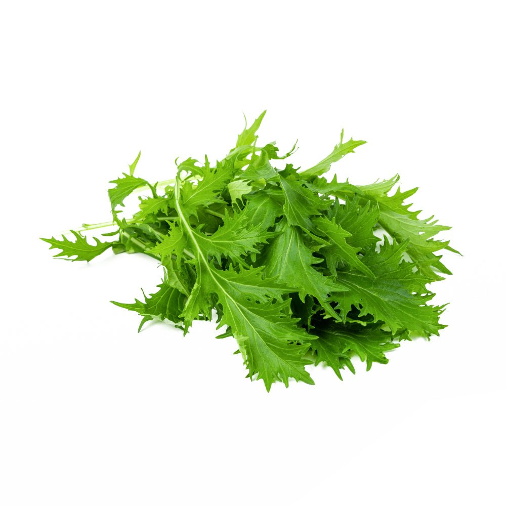 Asia Salate - simplePlant