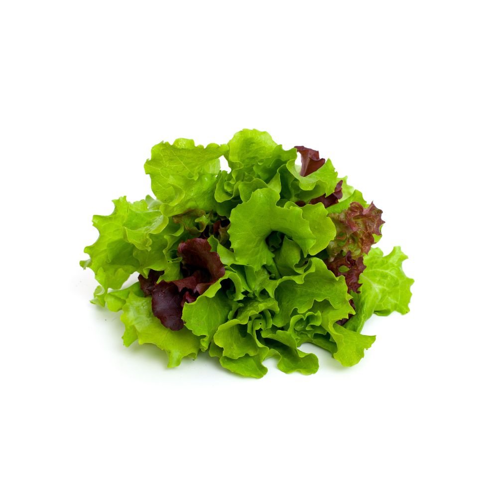 Gemischte Salate 2 - simplePlant
